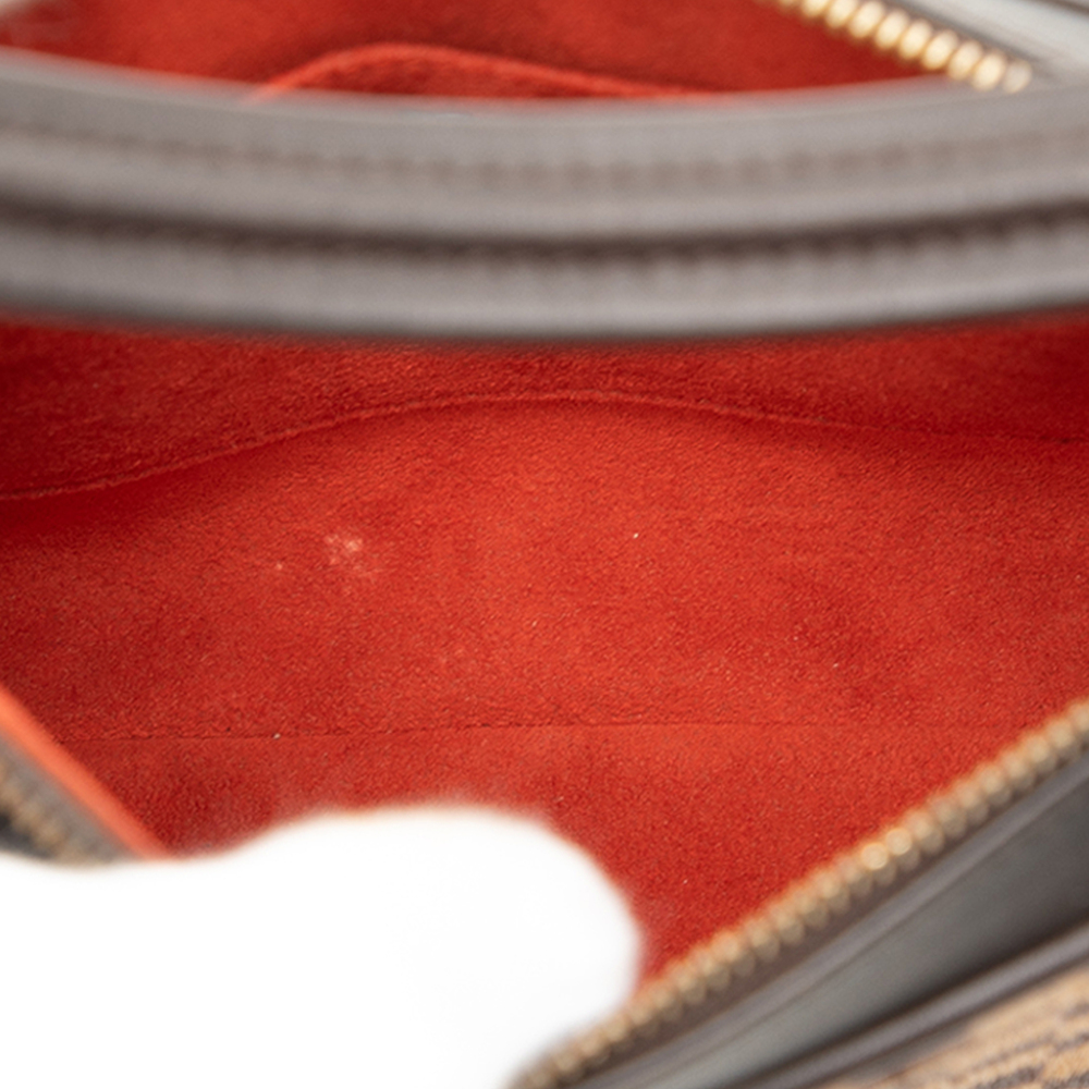 Pre-Loved Louis Vuitton Damier Sauvage Tigre - Picture 4 of 8
